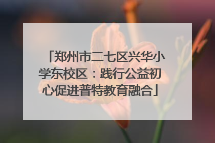 郑州市二七区兴华小学东校区：践行公益初心促进普特教育融合